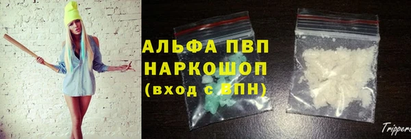 сатива Белокуриха