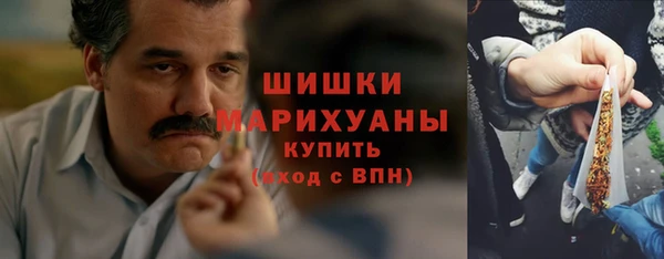 сатива Белокуриха