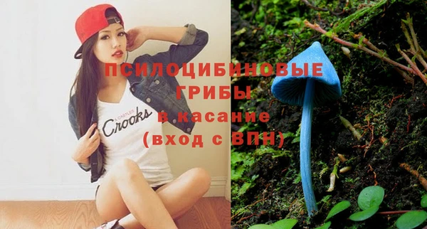 стафф Беломорск