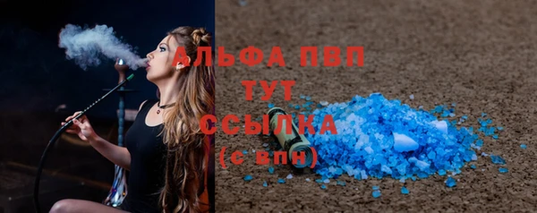 сатива Белокуриха